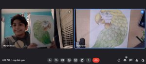 Online Drawing Course